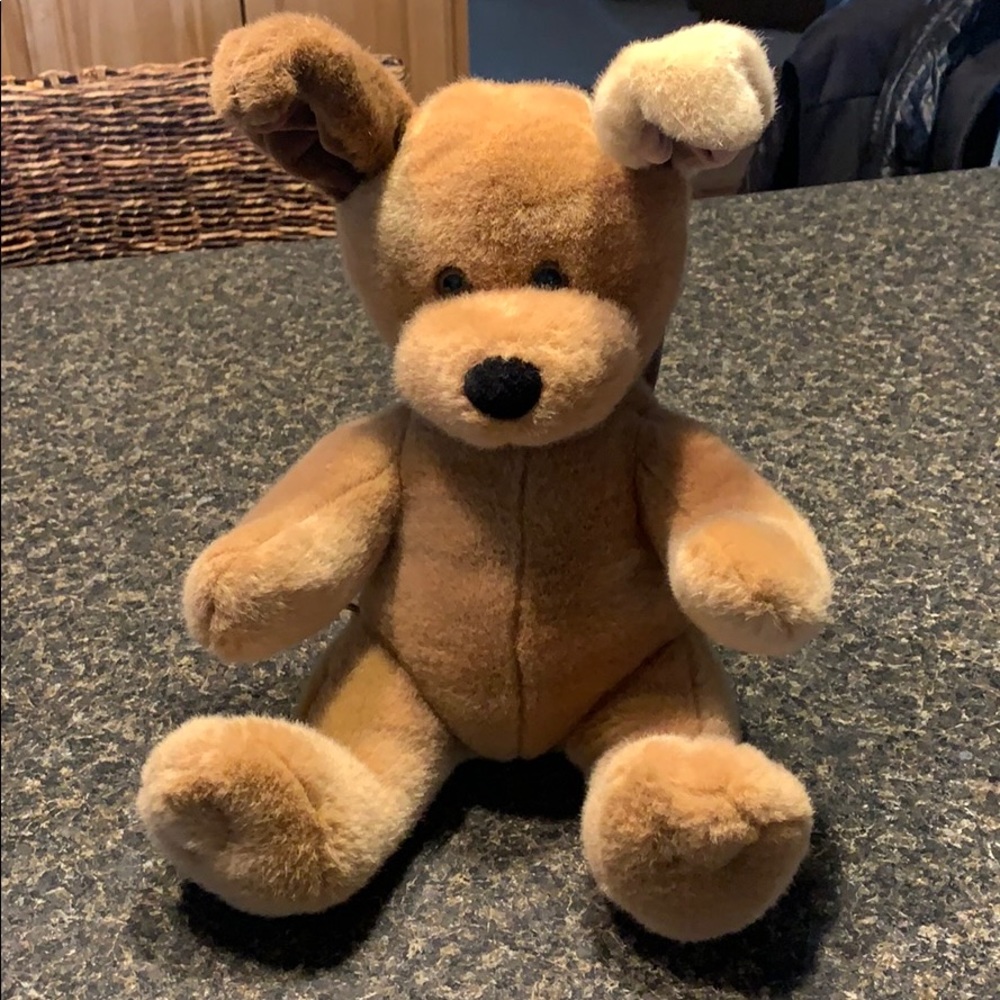 This Build-A-Bear Pup needs a new home!!